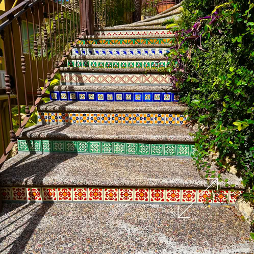 Six friends enjoy bonding outdoors, showcasing diversity and happiness.