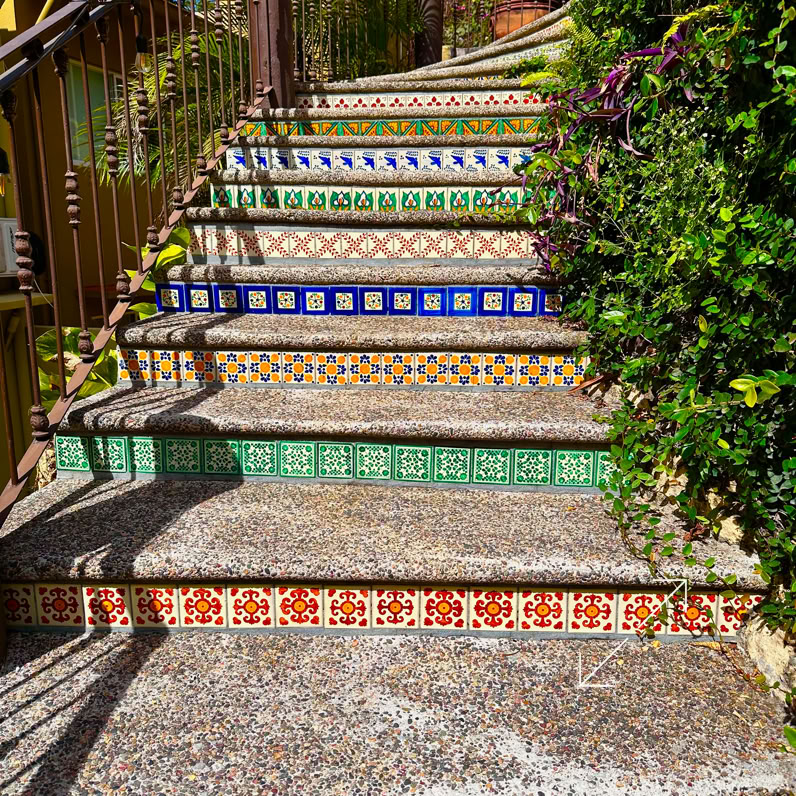 Six friends enjoy bonding outdoors, showcasing diversity and happiness.